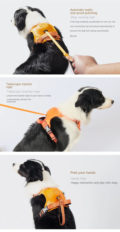 PawFit Duo - 2 in 1 Retractable Dog Harness and Leash